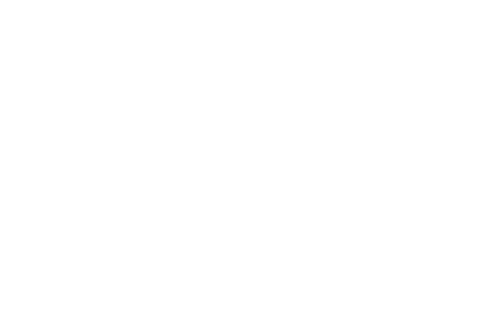 Autics group logo footer
